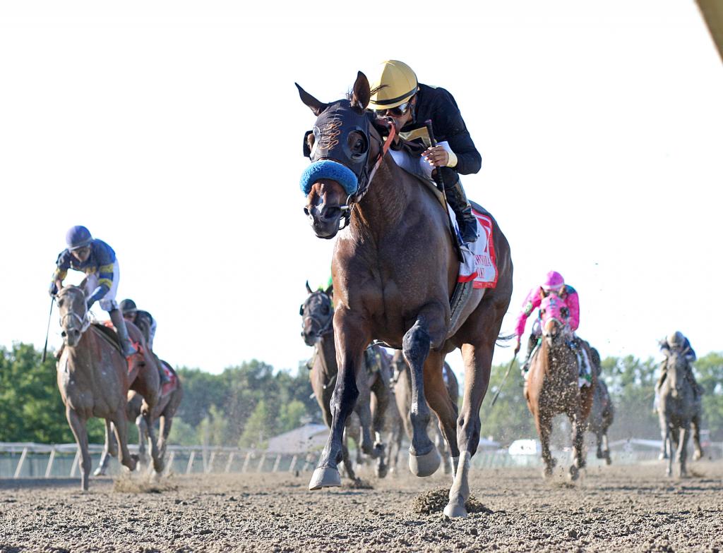 Stakes winner Dry Powder, runner-up in the Cotillion Stakes (Bill Denver/EQUI-PHOTO)