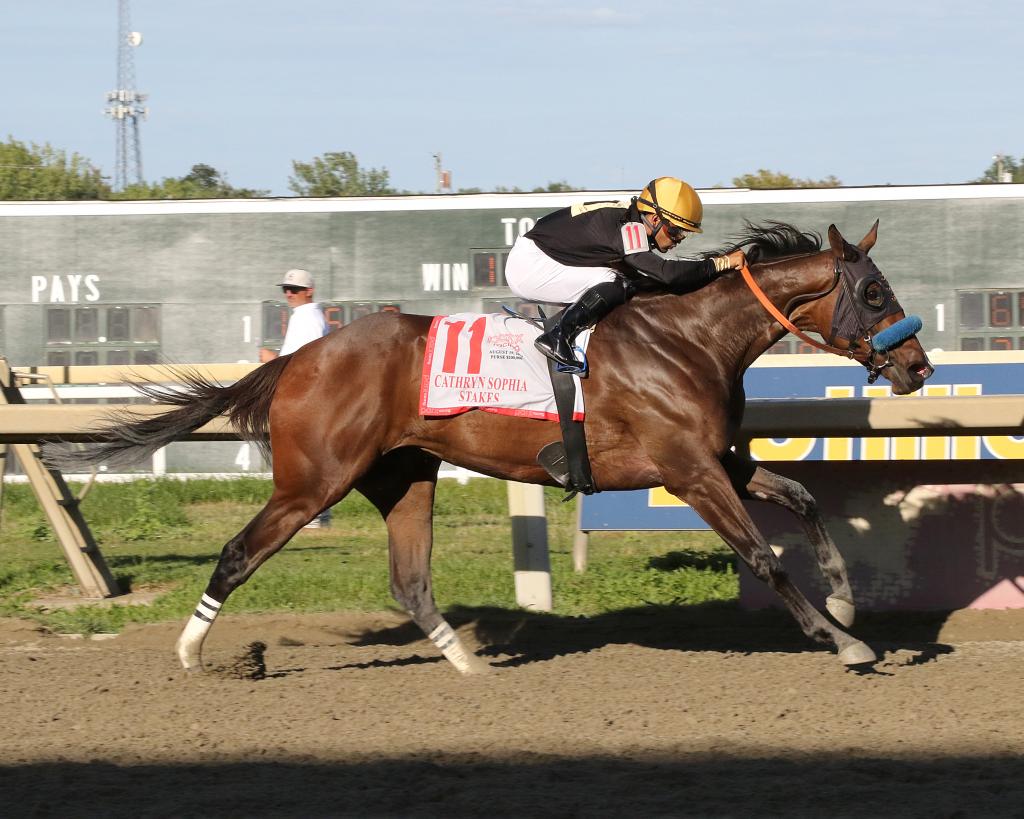 Stakes winner Dry Powder, runner-up in the Cotillion Stakes (Barbara Weidl/EQUI-PHOTO)