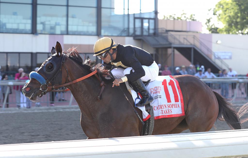 Stakes winner Dry Powder, runner-up in the Cotillion Stakes (Bill Denver/EQUI-PHOTO)