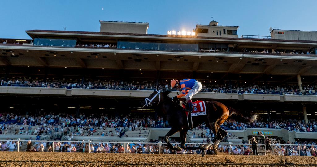 Pacific Classic Stakes winner Fierceness (Eclipse Sportswire)