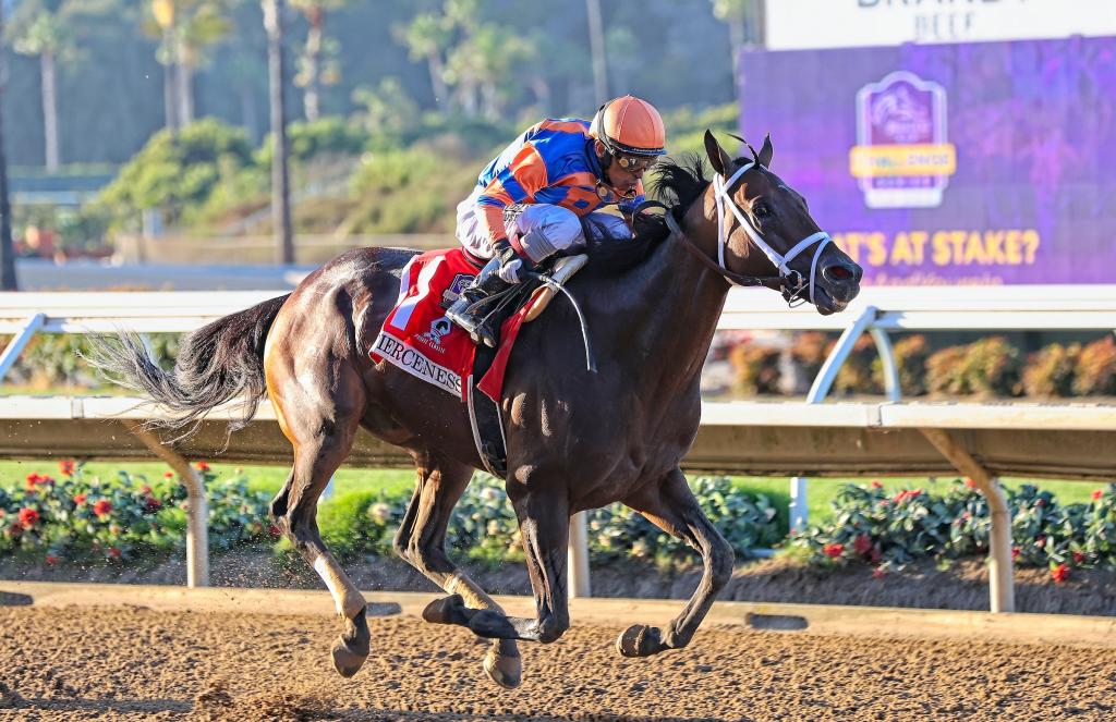 Pacific Classic Stakes winner Fierceness (Eclipse Sportswire)