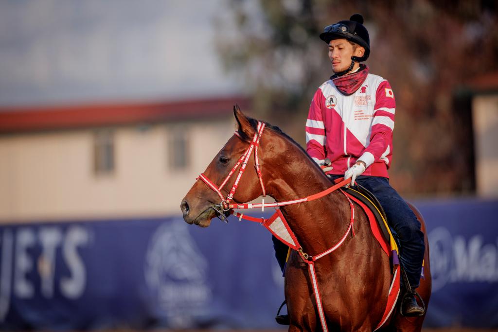 Saudi Cup winner Forever Young (Eclipse Sportswire)
