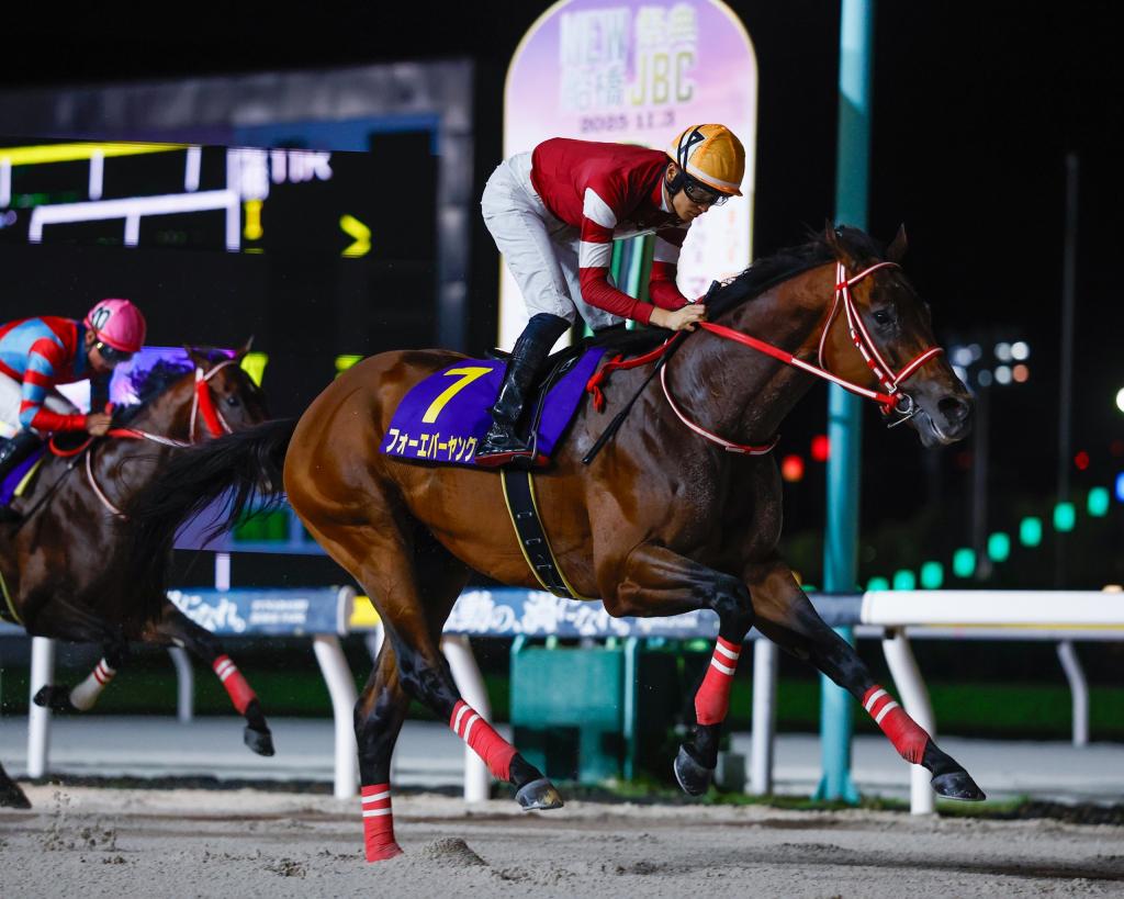 Saudi Cup winner Forever Young (Masakasu Takahashi photo)