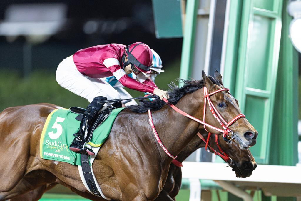 Saudi Cup winner Forever Young (Eclipse Sportswire)