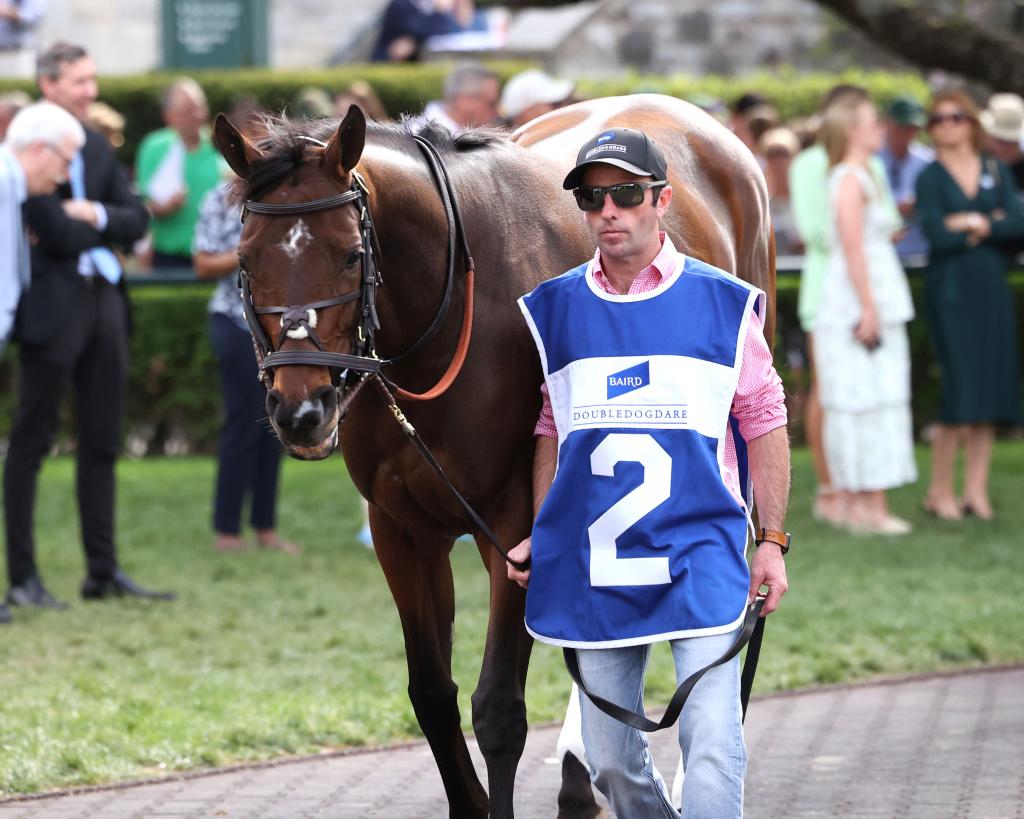 Spinster Stakes winner Gin Gin (Coady Media)