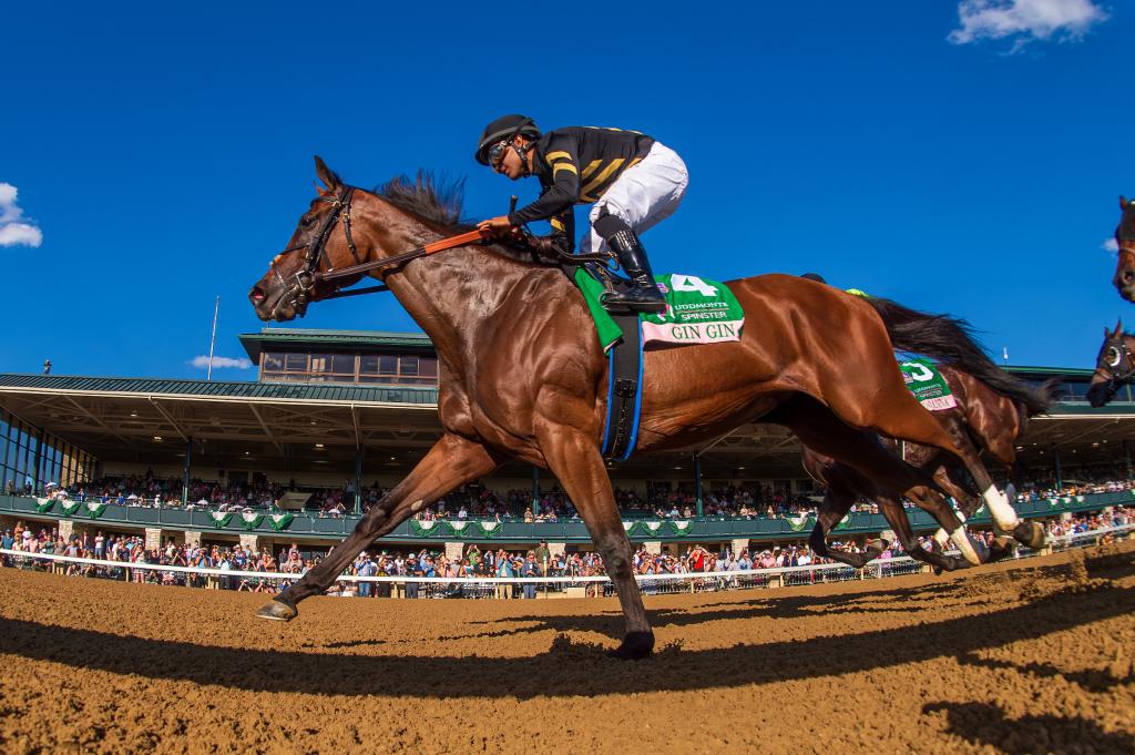 Spinster Stakes winner Gin Gin (Eclipse Sportswire)