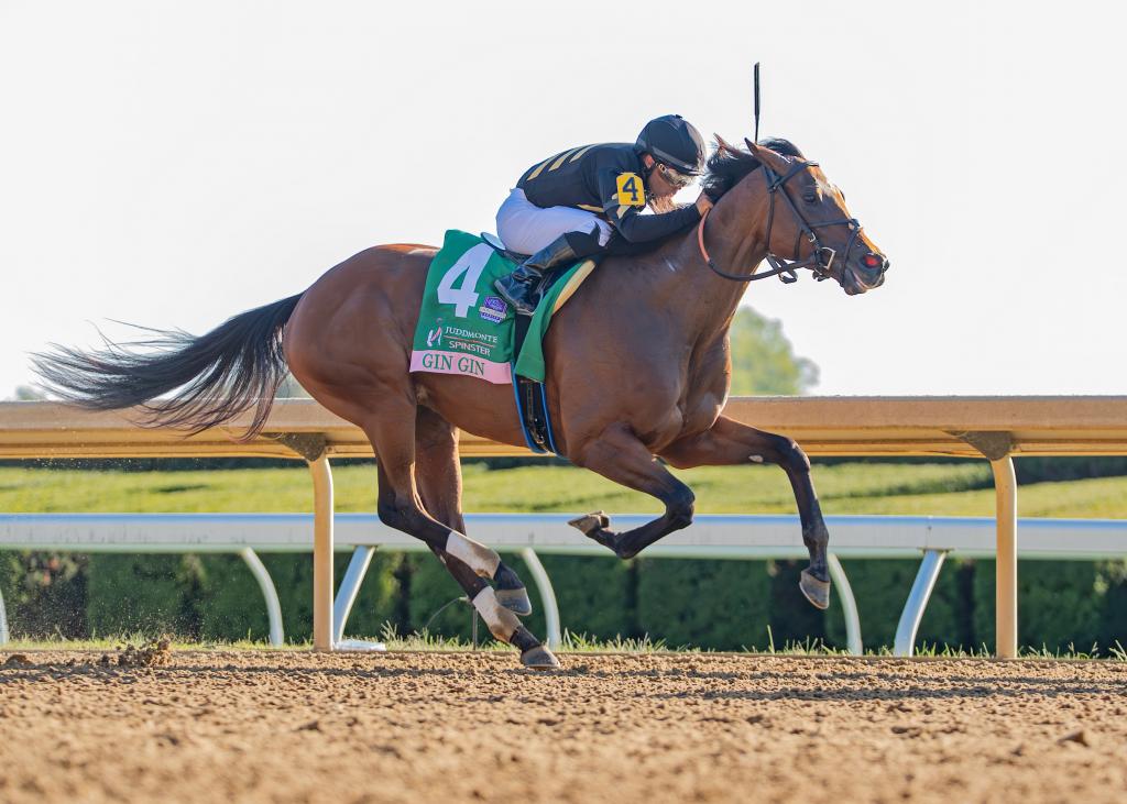 Spinster Stakes winner Gin Gin (Eclipse Sportswire)