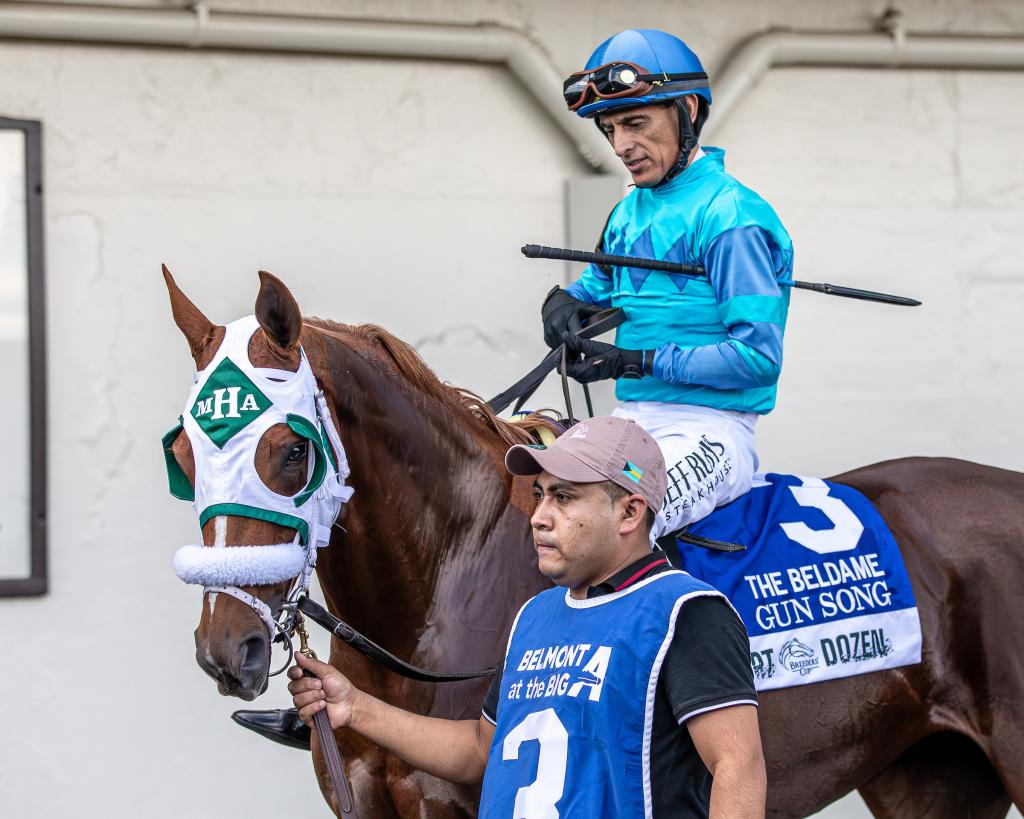 Beldame Stakes winner Gun Song (Eclipse Sportswire)