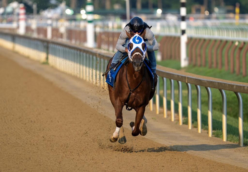 Whitney Stakes runner-up Highland Falls, a multiple graded stakes winner (Skip Dickstein/BloodHorse)