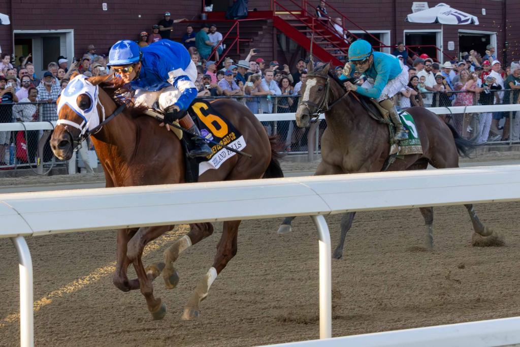 Whitney Stakes runner-up Highland Falls, a multiple graded stakes winner (Eclipse Sportswire)