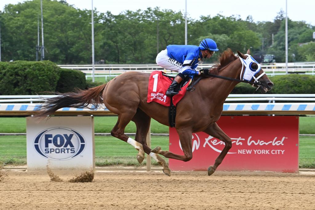 Whitney Stakes runner-up Highland Falls, a multiple graded stakes winner (Adam Coglianese/NYRA)