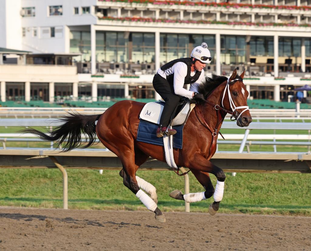 Preakness and Haskell Stakes winner Journalism (Bill Denver/EQUI-PHOTO)