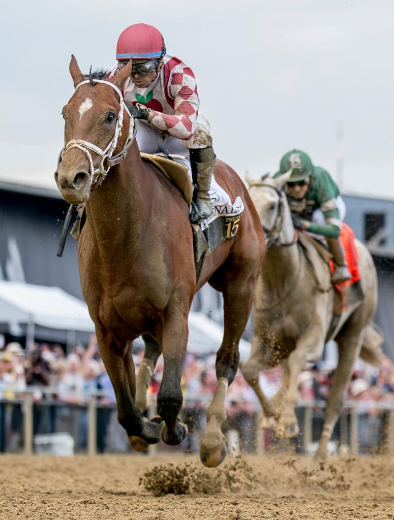 Preakness and Haskell Stakes winner Journalism (Eclipse Sportswire)