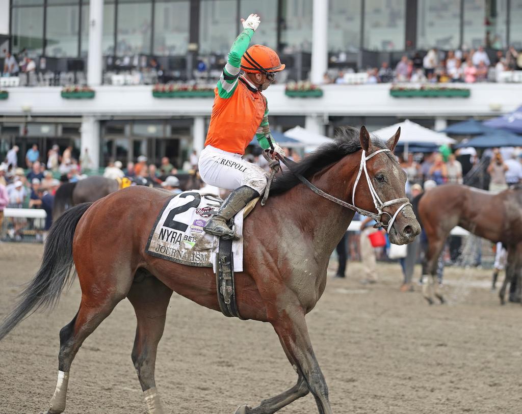 Preakness and Haskell Stakes winner Journalism (Ryan Denver/EQUI-PHOTO)