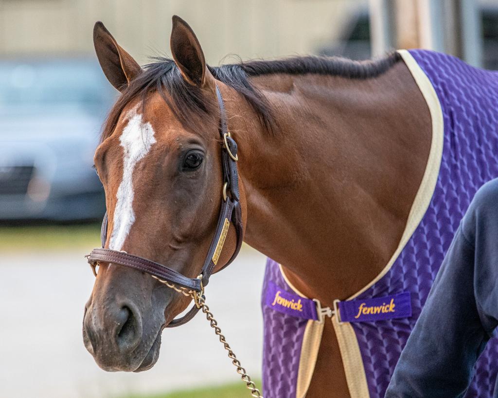 Shuvee Stakes winner Leslie’s Rose (Eclipse Sportswire)