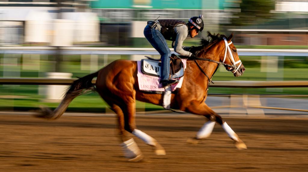 Shuvee Stakes winner Leslie’s Rose (Eclipse Sportswire)