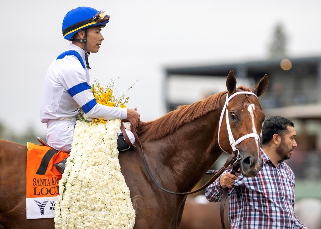 Woodward Stakes and Santa Anita Handicap winner Locked (BENOIT photo)