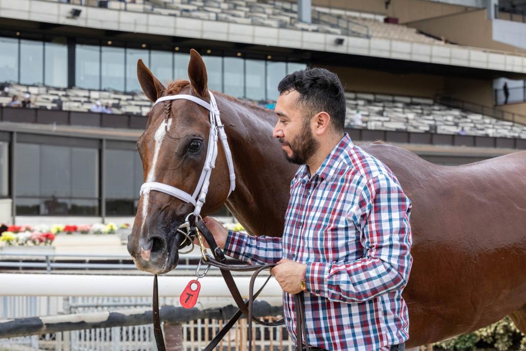Woodward Stakes and Santa Anita Handicap winner Locked (Walter Wlodarczyk/NYRA)