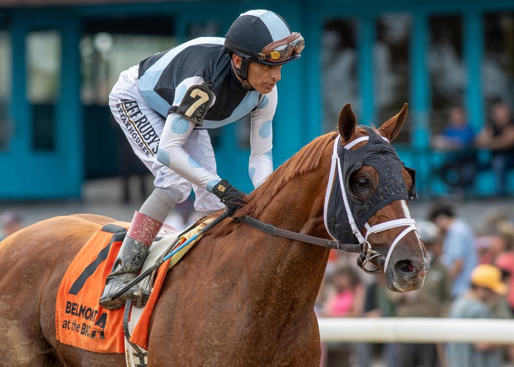 Woodward Stakes and Santa Anita Handicap winner Locked (Eclipse Sportswire)