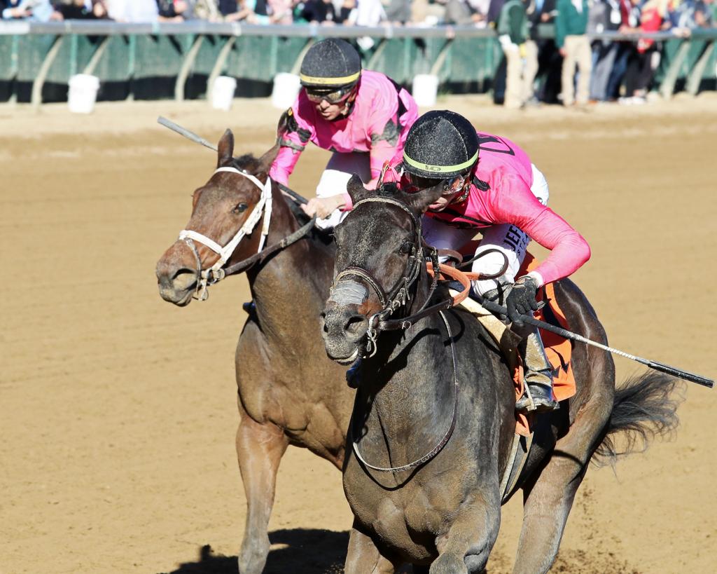 Rogaled SLIDESHOW: Meet the Fillies and Mares in the 2026 Breeders’ Cup Distaff ...
