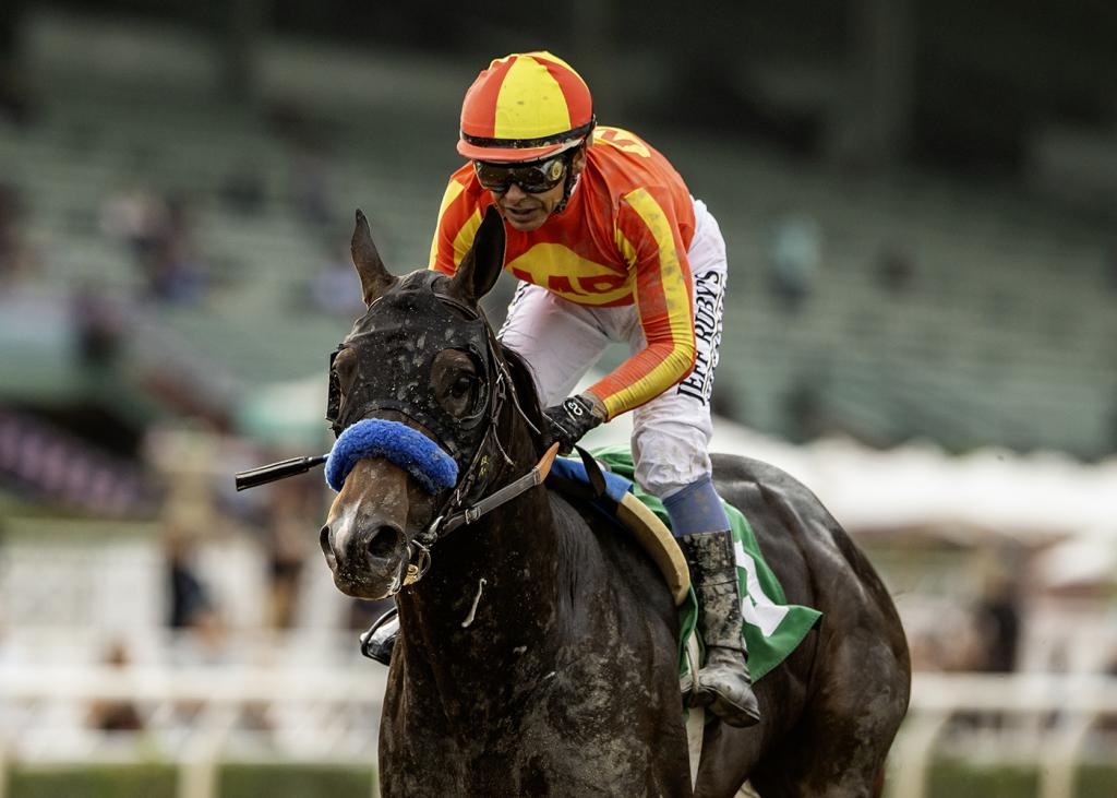Goodwood Stakes winner Nevada Beach (BENOIT photo)