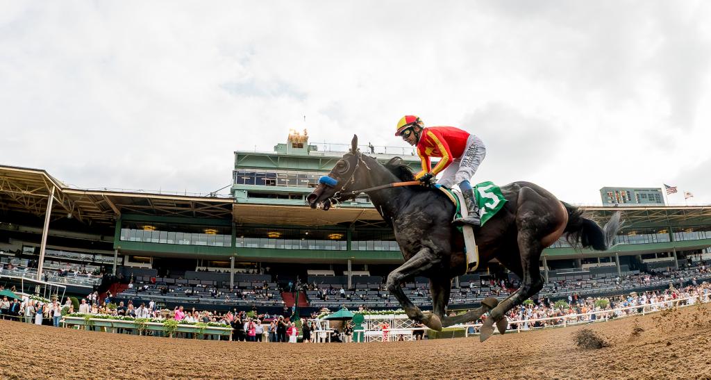 Goodwood Stakes winner Nevada Beach (Eclipse Sportswire)