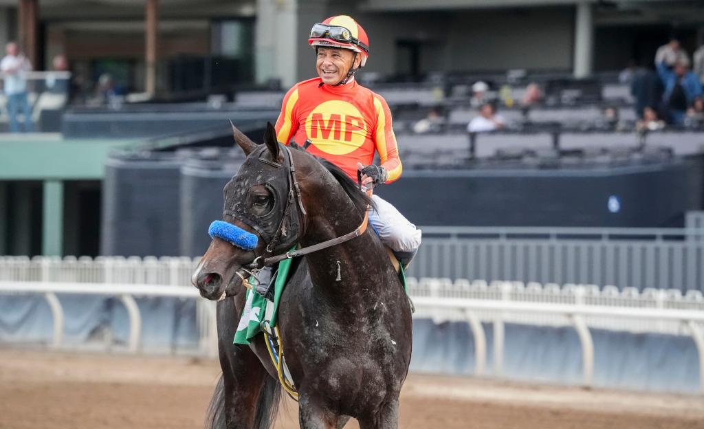 Goodwood Stakes winner Nevada Beach (Eclipse Sportswire)