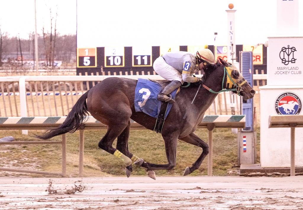 Delaware Handicap winner Regaled (Jim McCue/Maryland Jockey Club)