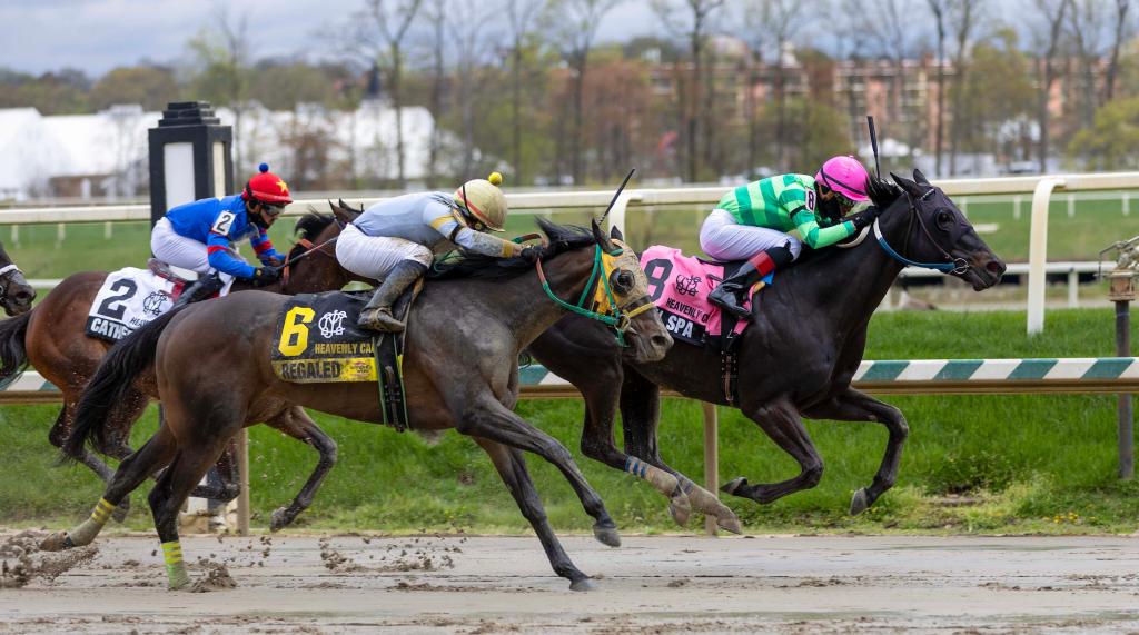 Royal Spa defeats Regaled in the Heavenly Cause Stakes. (Eclipse Sportswire)