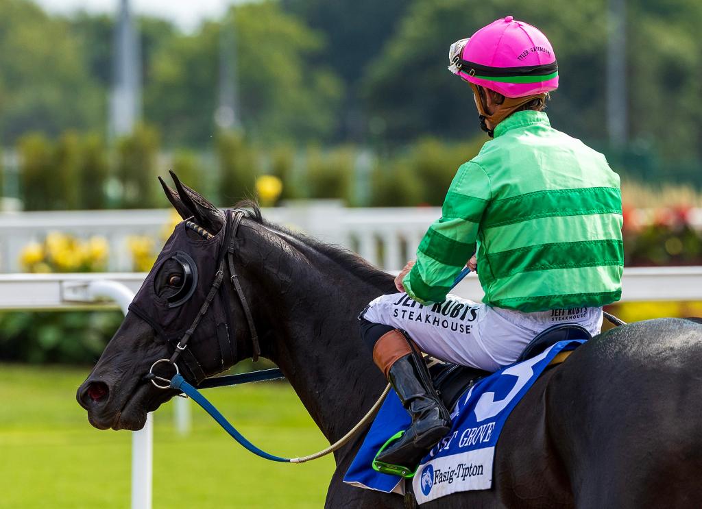 Locust Grove Stakes winner Royal Spa (Eclipse Sportswire)