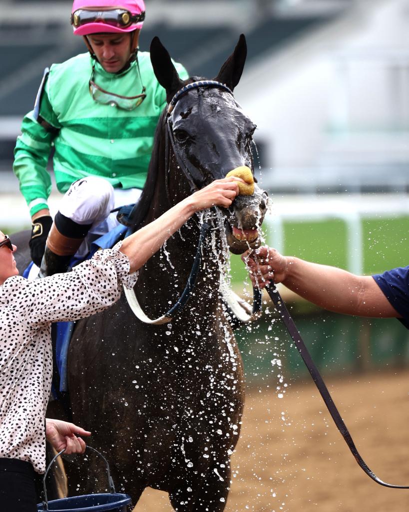 Locust Grove Stakes winner Royal Spa (Coady Media)