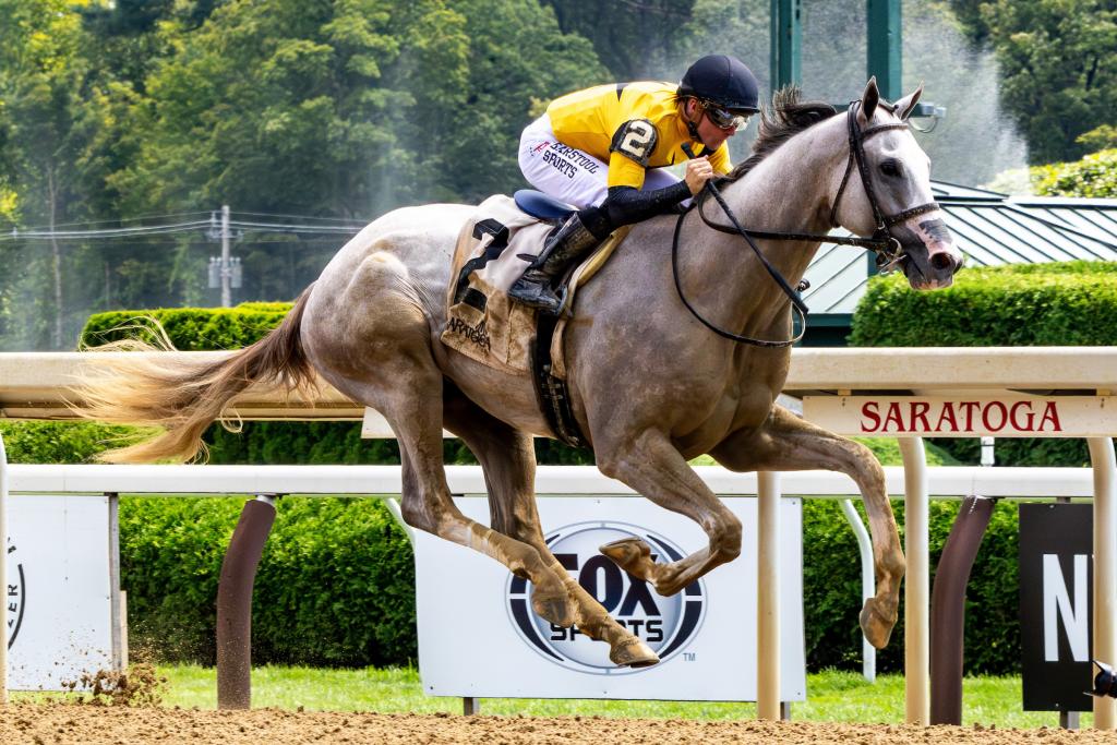 Sandman earns his first career victory in August 2024 at Saratoga. (Eclipse Sportswire)