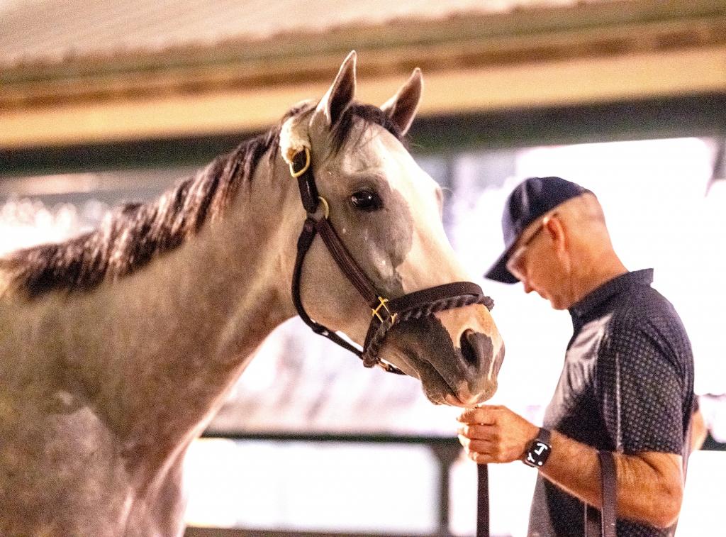Sandman arrives at Pimlico for the Preakness Stakes. (Jim McCue/Maryland Jockey Club)