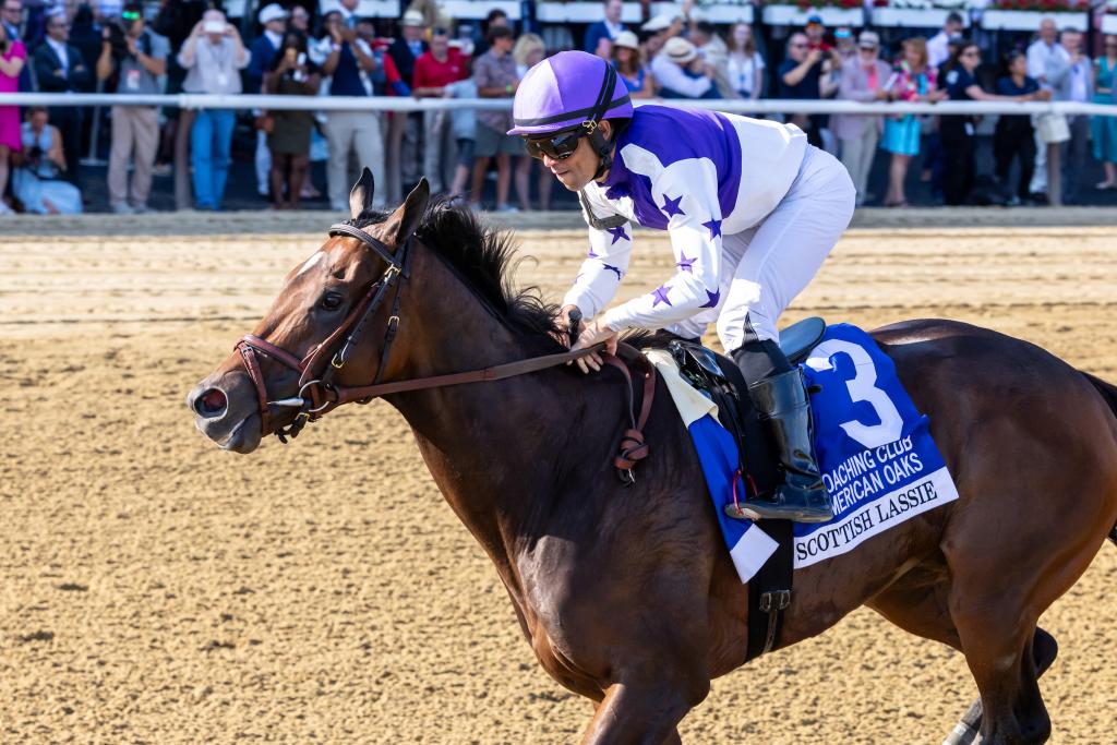 Coaching Club American Oaks winner Scottish Lassie (Eclipse Sportswire)