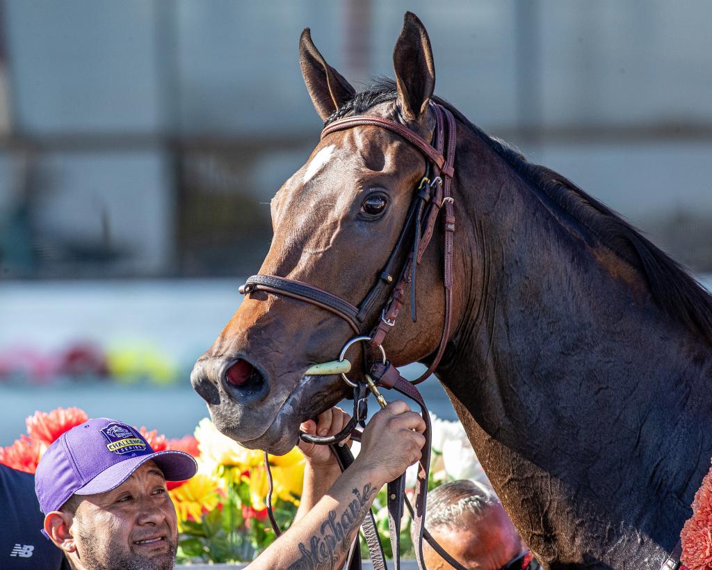 Coaching Club American Oaks winner Scottish Lassie (Eclipse Sportswire)