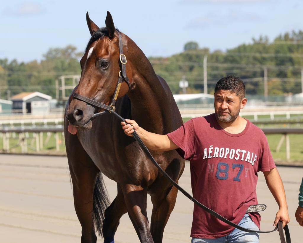 Coaching Club American Oaks winner Scottish Lassie (Nikki Sherman/EQUI-PHOTO)