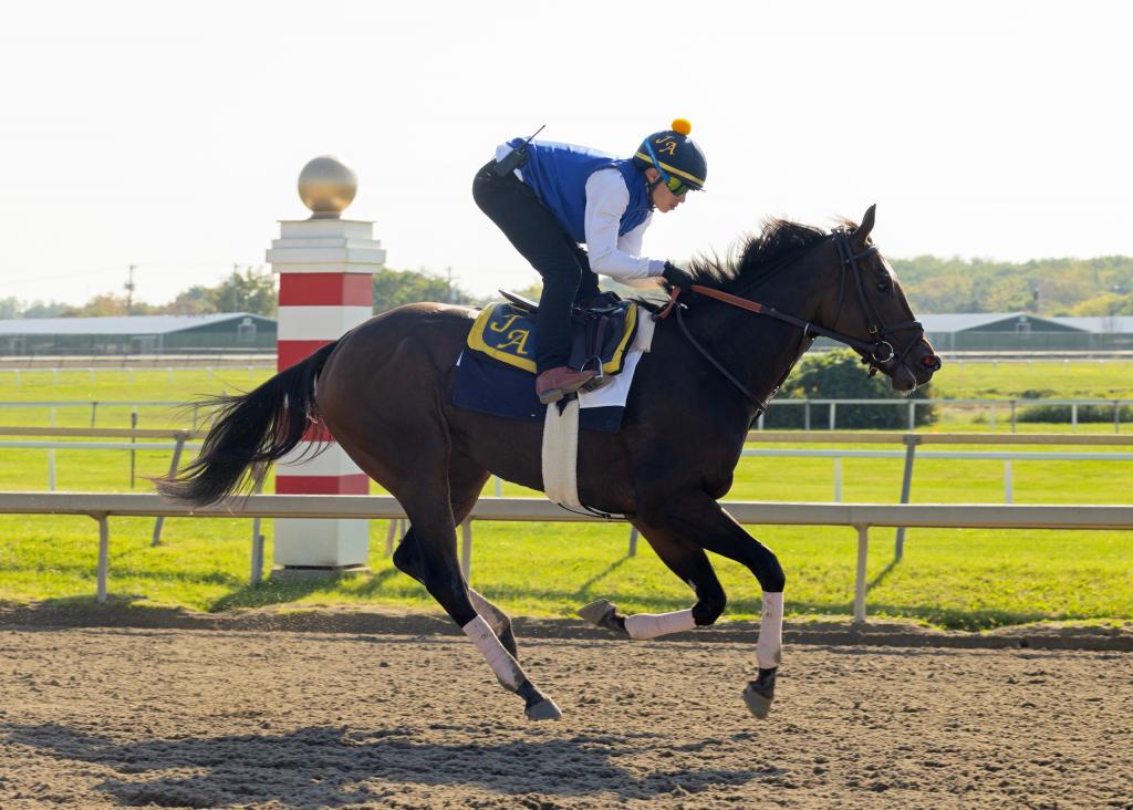 Coaching Club American Oaks winner Scottish Lassie (Taylor Ejdys/EQUI-PHOTO)