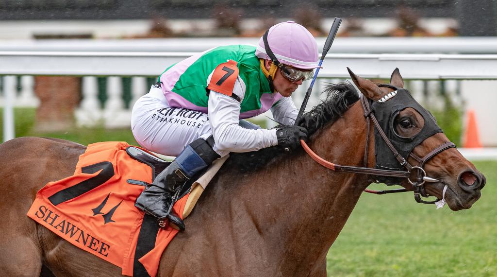 Multiple graded stakes winner Scylla, runner-up in the Ballerina Stakes (Eclipse Sportswire)