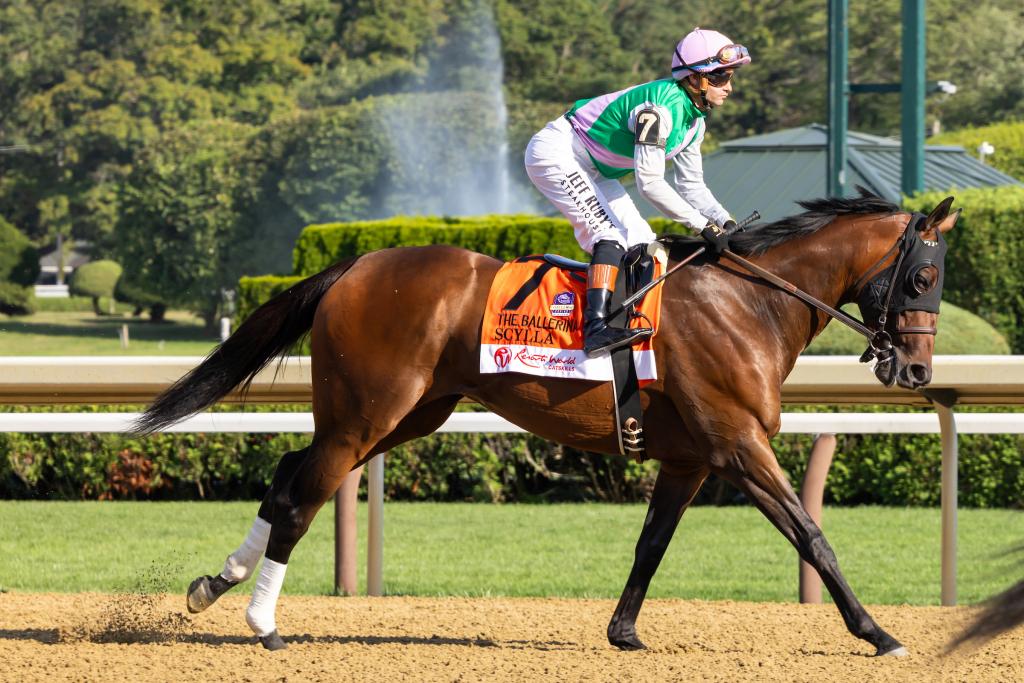 Multiple graded stakes winner Scylla, runner-up in the Ballerina Stakes (Eclipse Sportswire)
