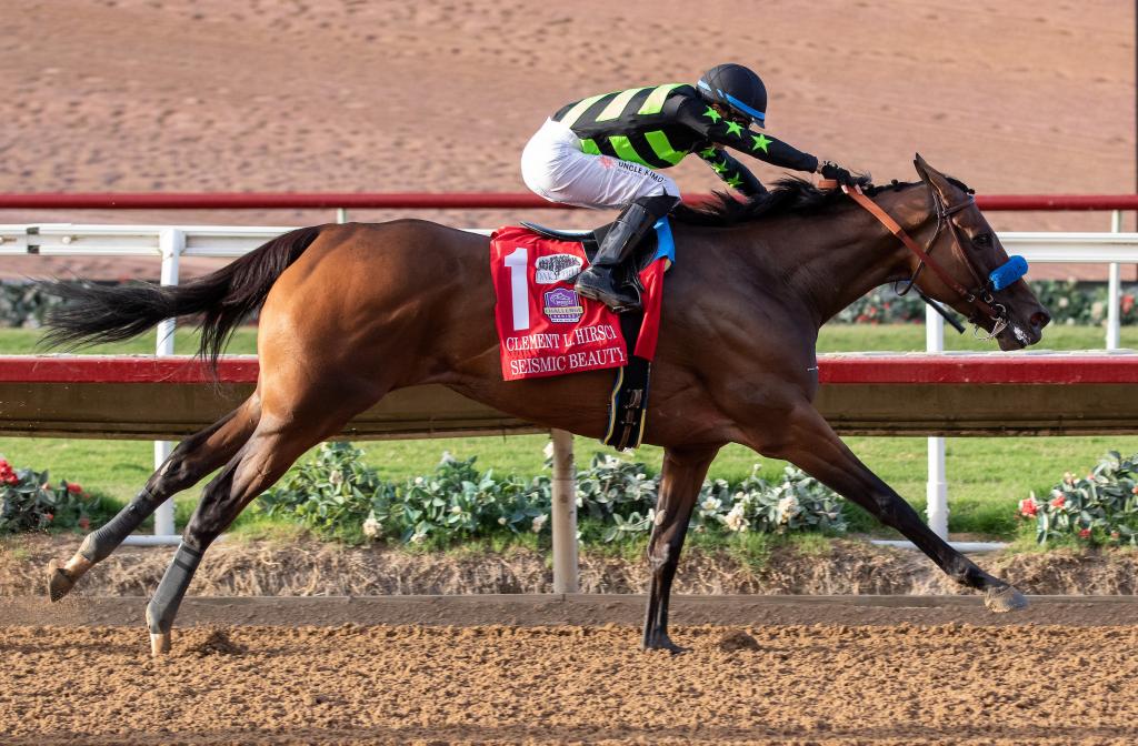 Clement L. Hirsch Stakes winner Seismic Beauty (Eclipse Sportswire)