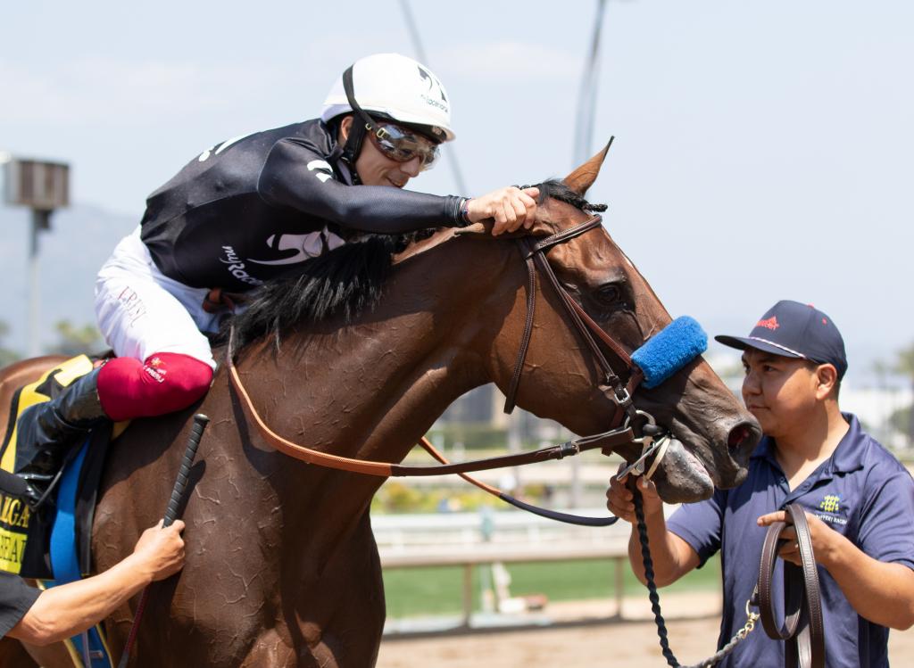 Clement L. Hirsch Stakes winner Seismic Beauty (Eclipse Sportswire)