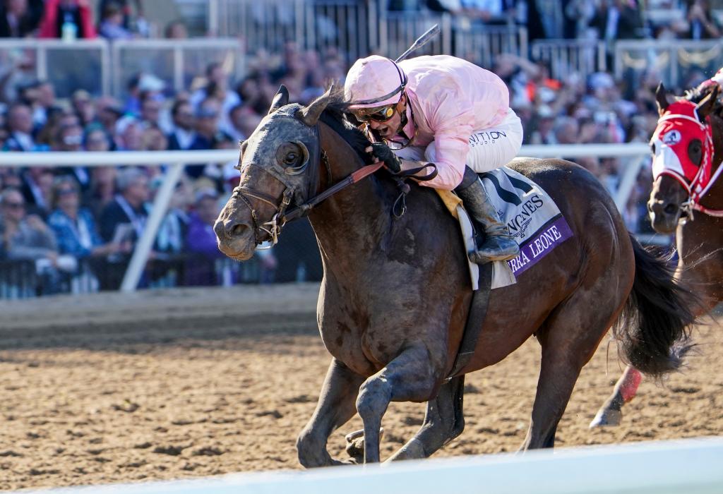 Defending Breeders’ Cup Classic winner and Whitney Stakes winner Sierra Leone (Eclipse Sportswire)
