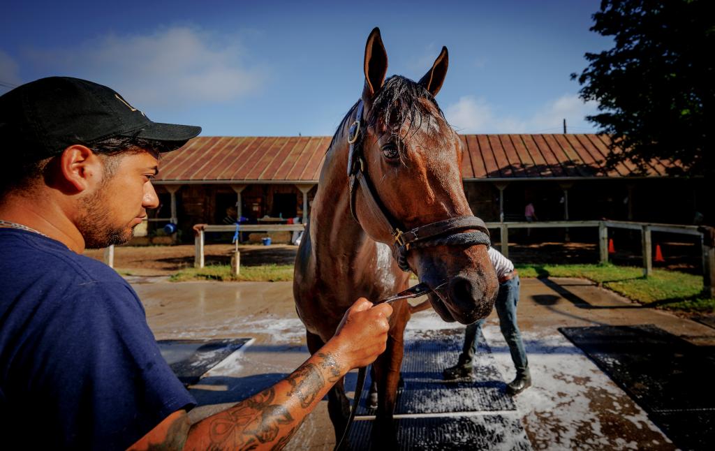 Defending Breeders’ Cup Classic winner and Whitney Stakes winner Sierra Leone (Eclipse Sportswire)