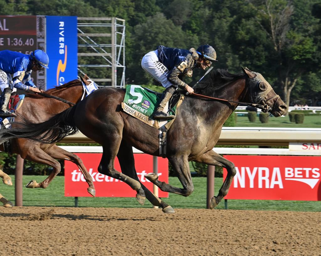 Defending Breeders’ Cup Classic winner and Whitney Stakes winner Sierra Leone (Susie Raisher/NYRA)