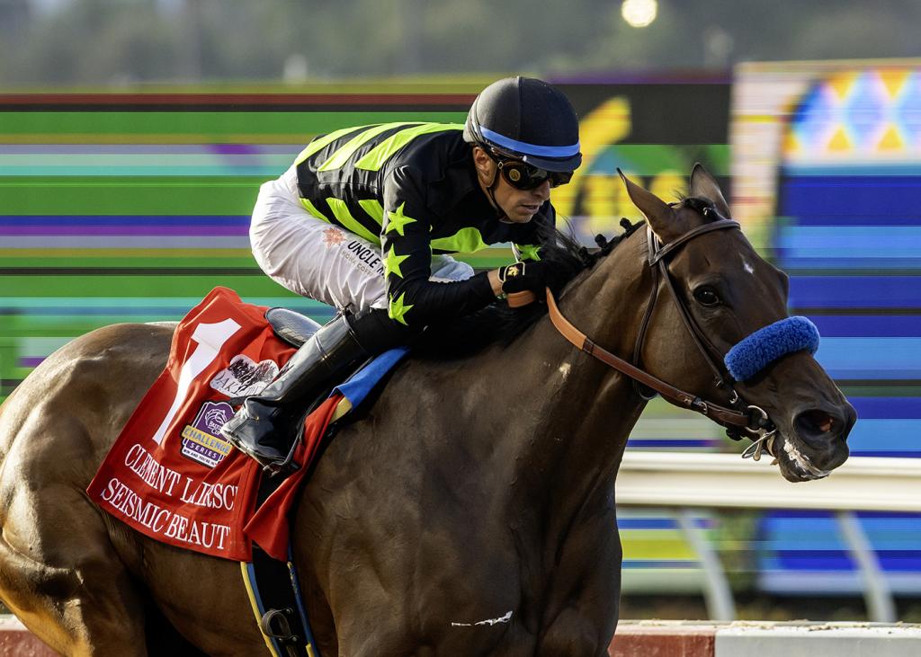 Clement L. Hirsch Stakes winner Seismic Beauty (BENOIT photo)