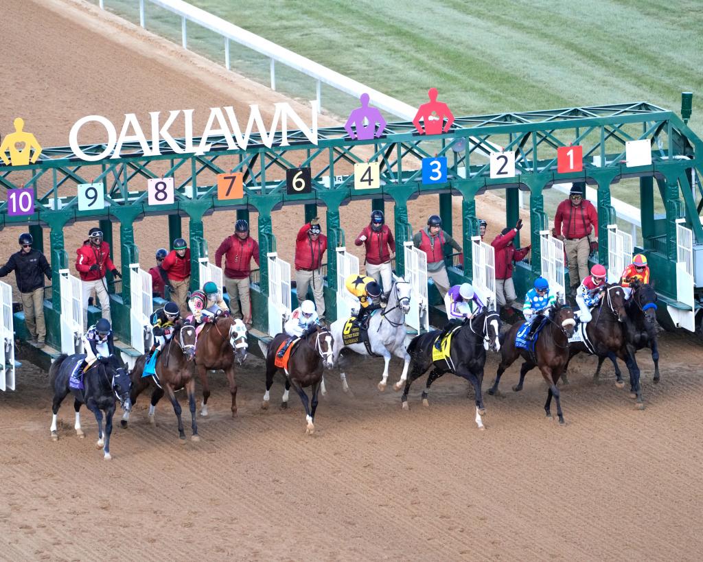 Sandman (middle, #6) jumps in the air and nearly unseats his jockey in the Southwest Stakes, where he recovered to finish second. (Coady Media)