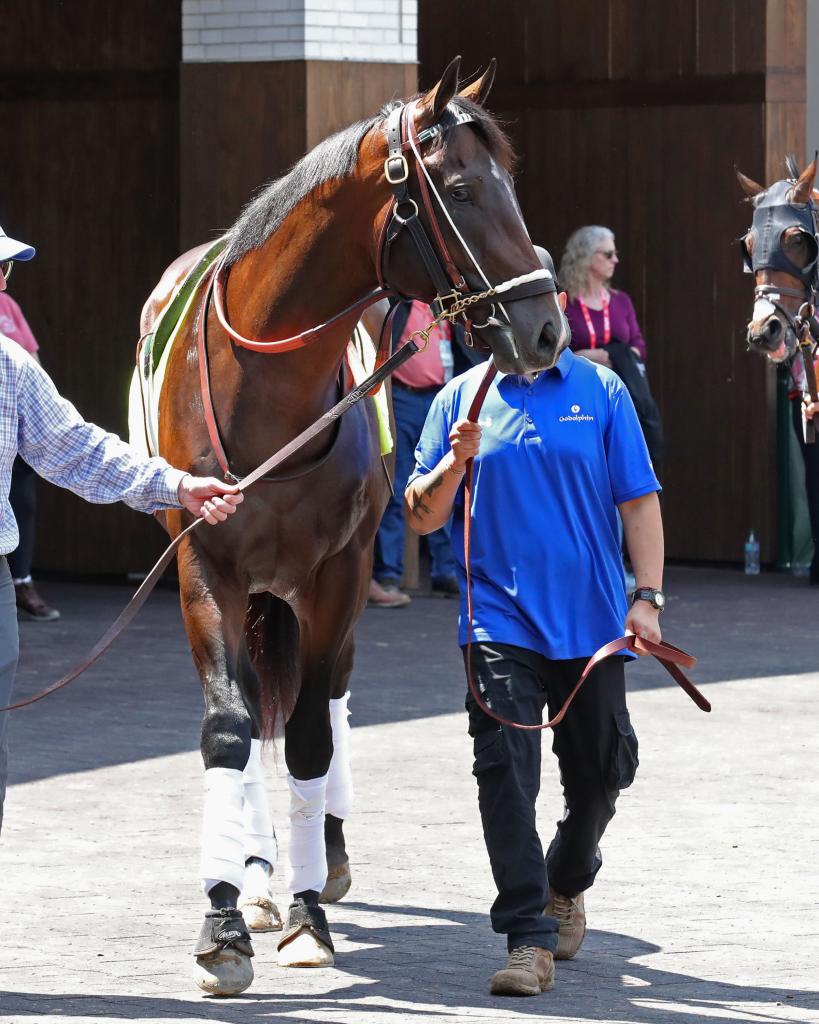 Kentucky Derby, Belmont Stakes, and Travers Stakes winner Sovereignty (Coady Media)