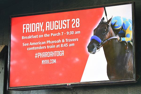 American Pharoah, Bob Baffert, Zayat, Triple Crown, Travers Stakes, Saratoga Race Course, America's Best Racing, horse racing, ABR