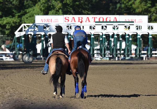 American Pharoah, Bob Baffert, Zayat, Triple Crown, Travers Stakes, Saratoga Race Course, America's Best Racing, horse racing, ABR