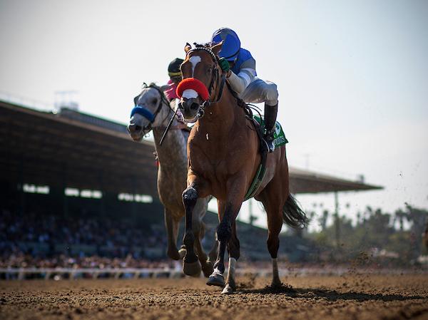 Goldencents, Santa Anita Derby, Breeders' Cup Dirt Mile, Doug O'Neill, America's Best Racing, horse racing, ABR
